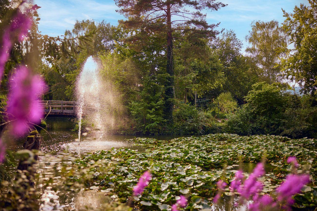 Springbrunnen Center Parcs Erperheide