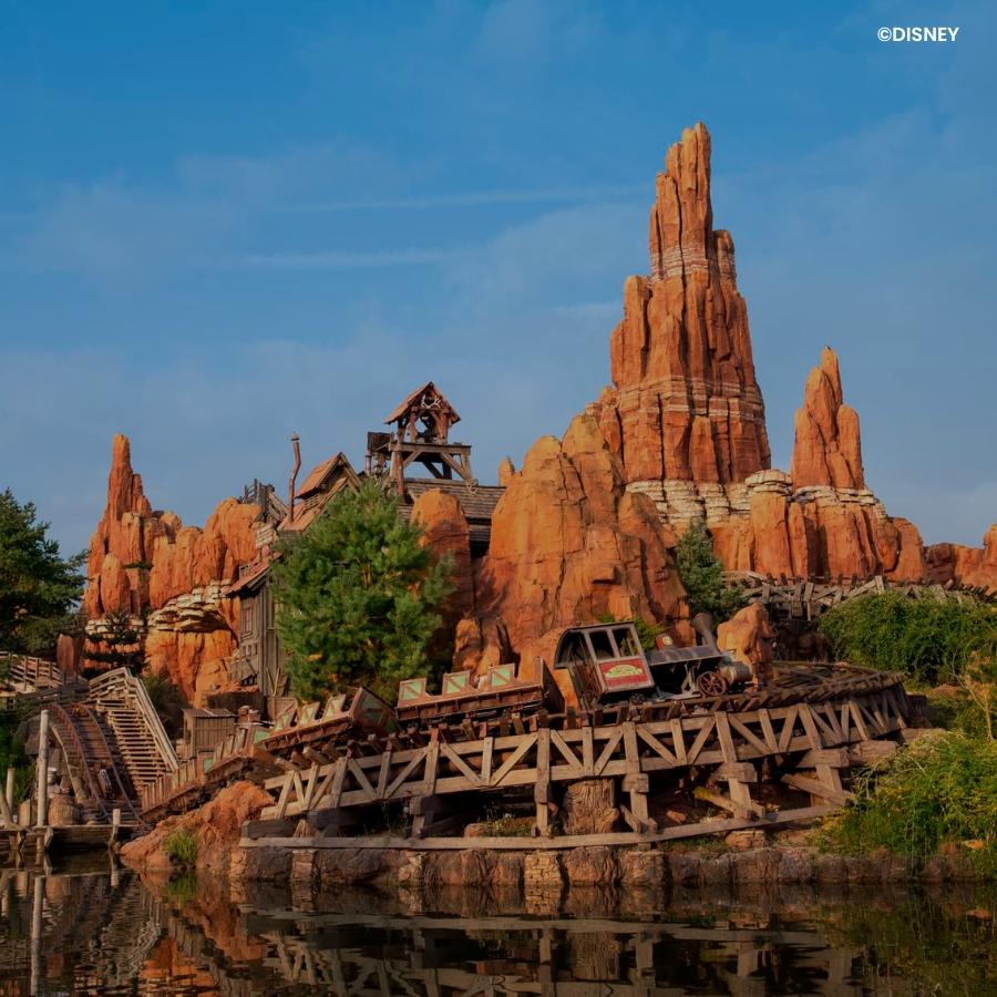 Disneyland aanbod hotel en entree